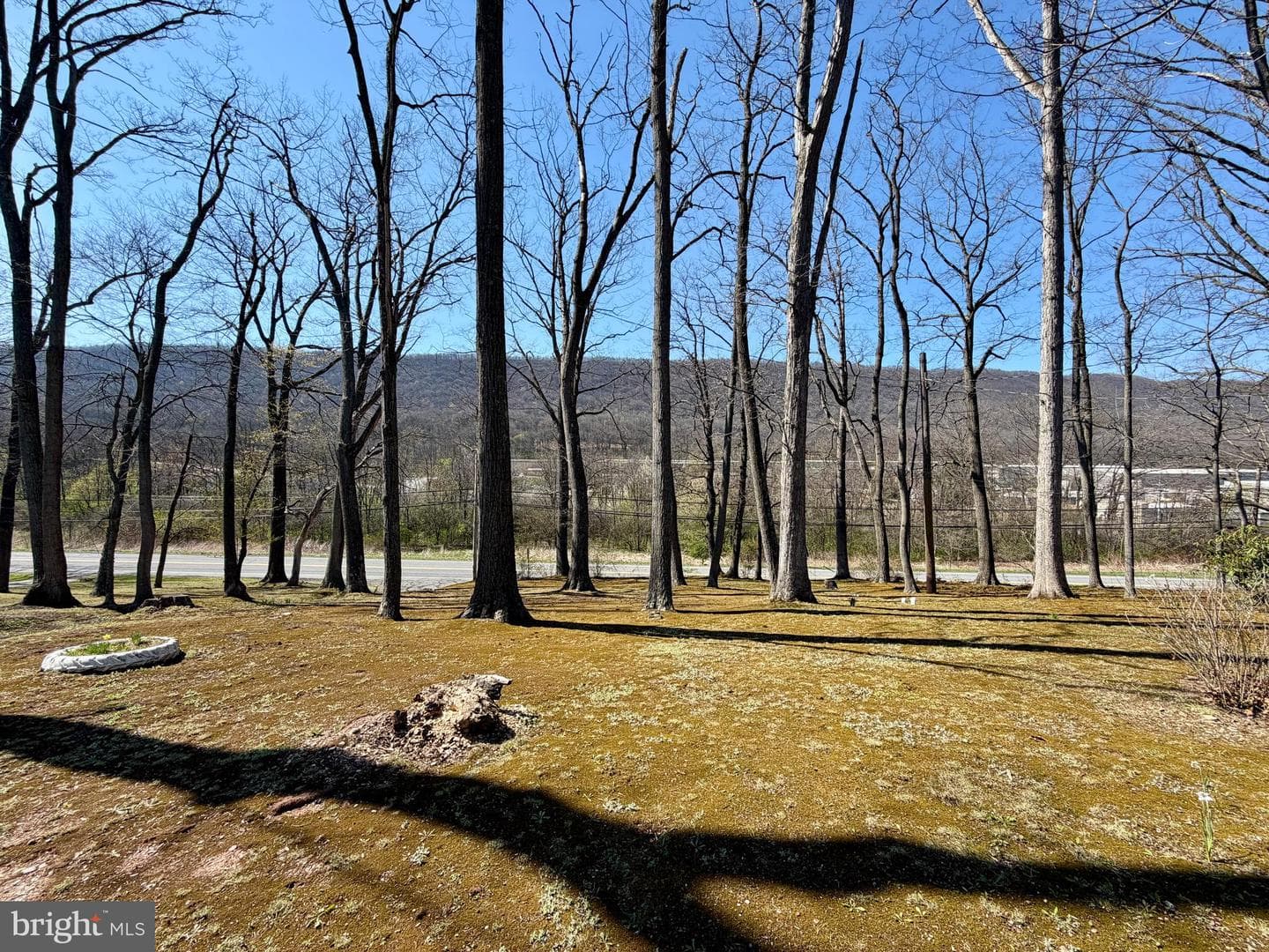 624 Raystown Road photo 6