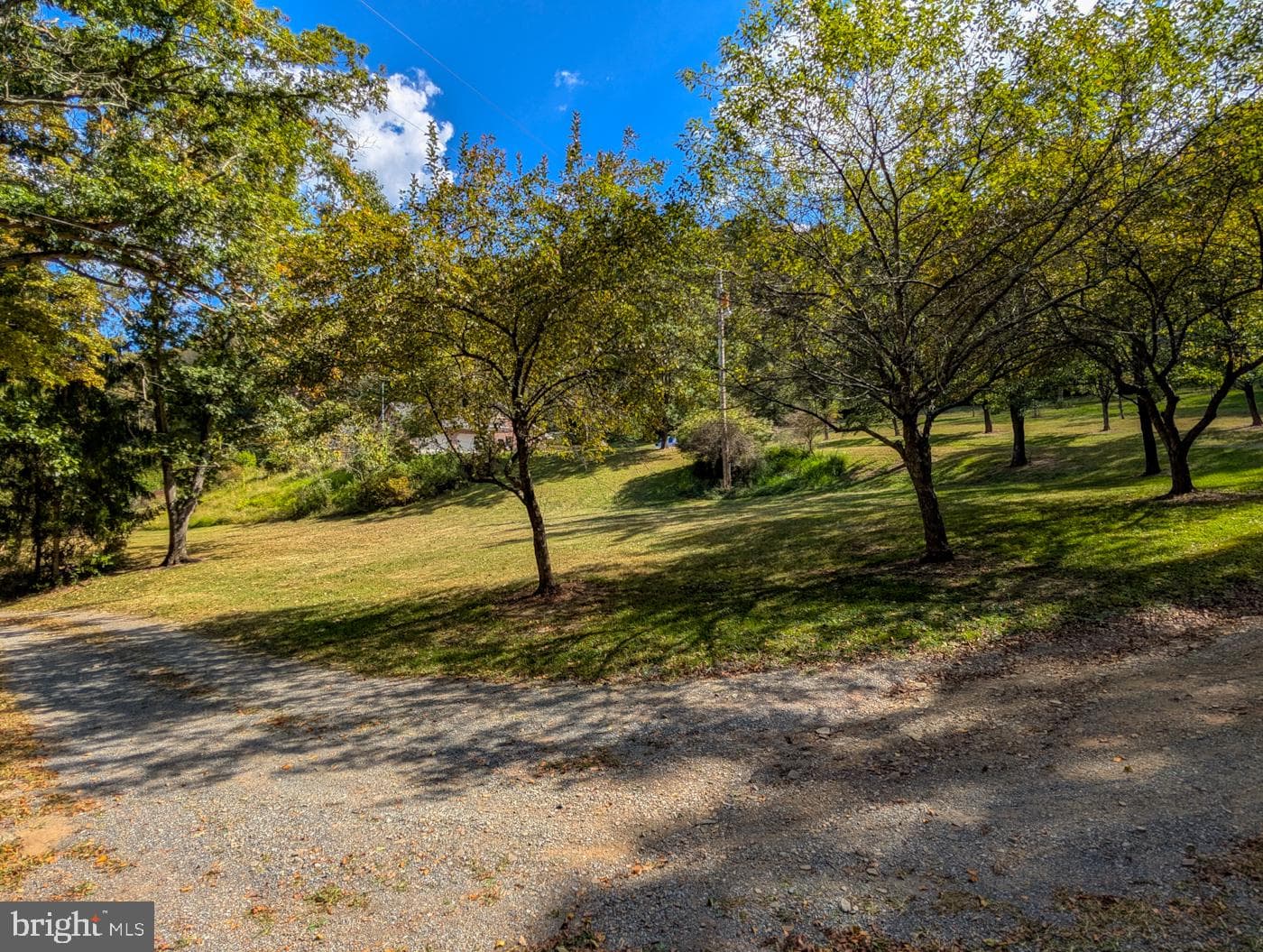 353 Pine Pitch Road photo 68