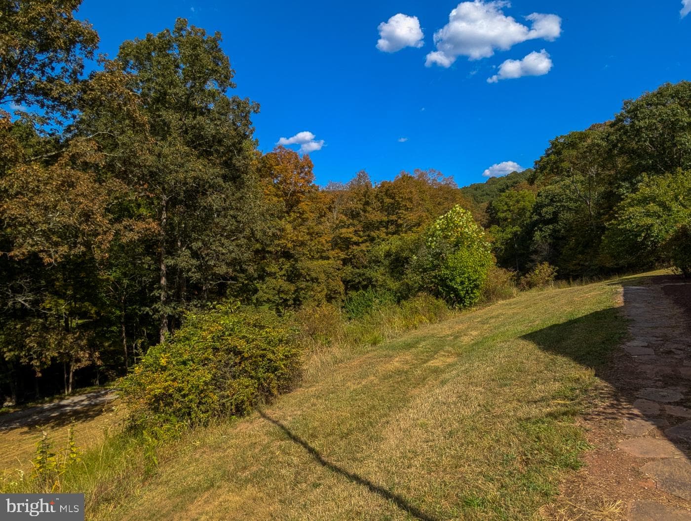 353 Pine Pitch Road photo 81