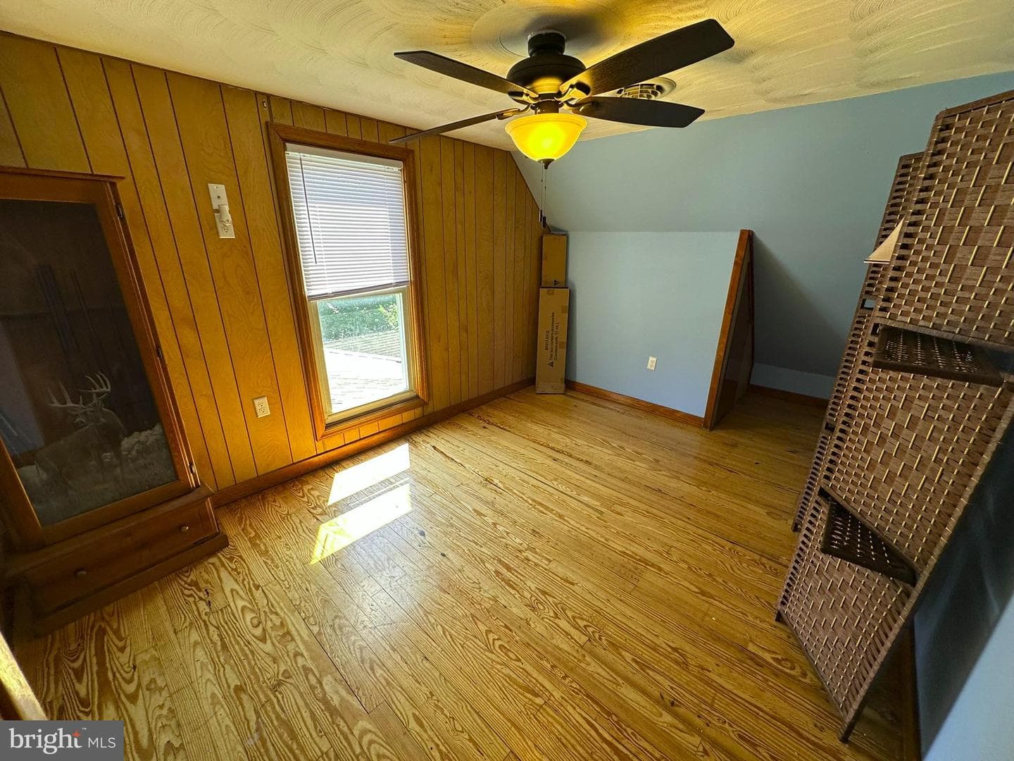 407 Upper Snake Spring Road photo 26