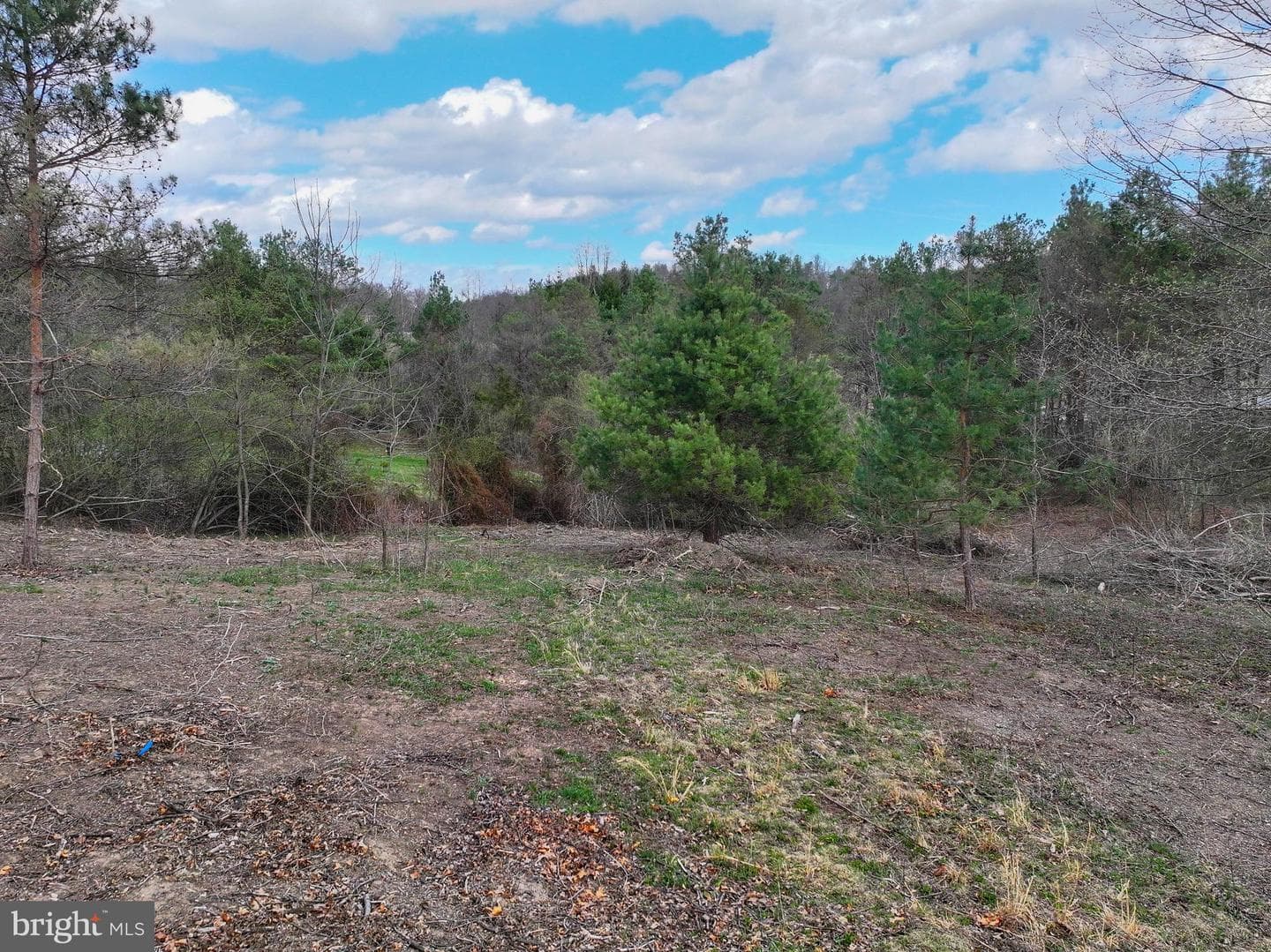 192 Northern Pine Road photo 59