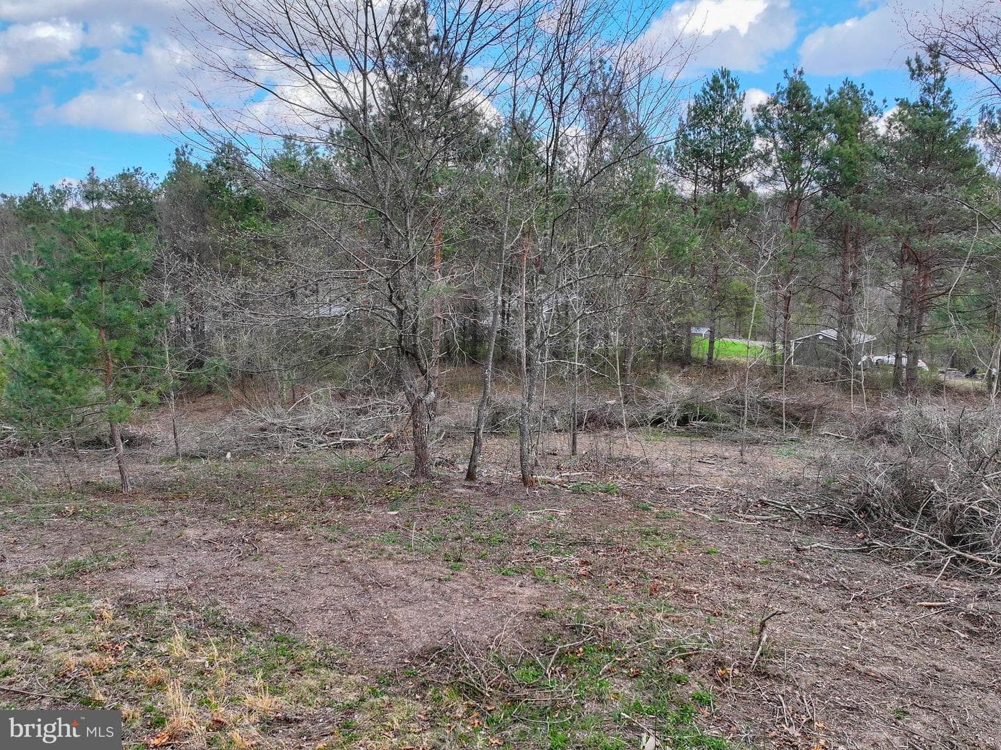 192 Northern Pine Road photo 61