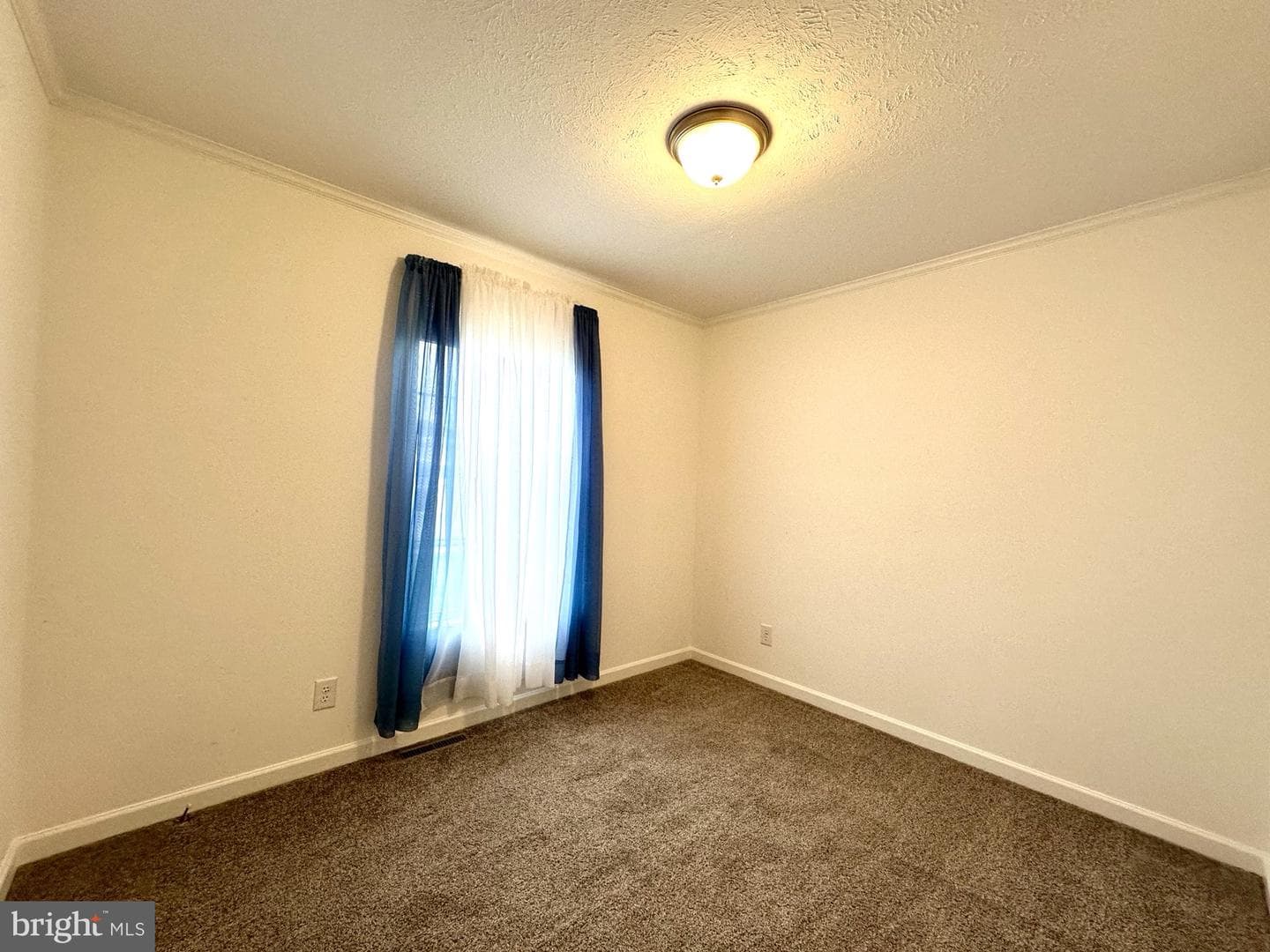 161 Serenity Circle photo 32