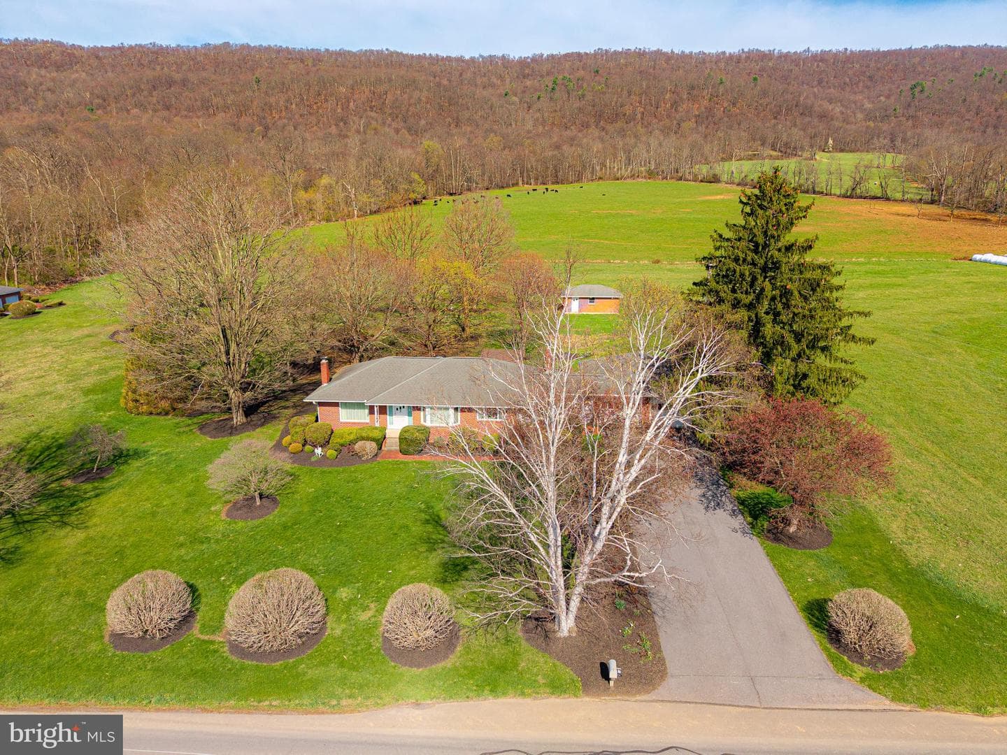 1771 Upper Snake Spring Rd photo 45