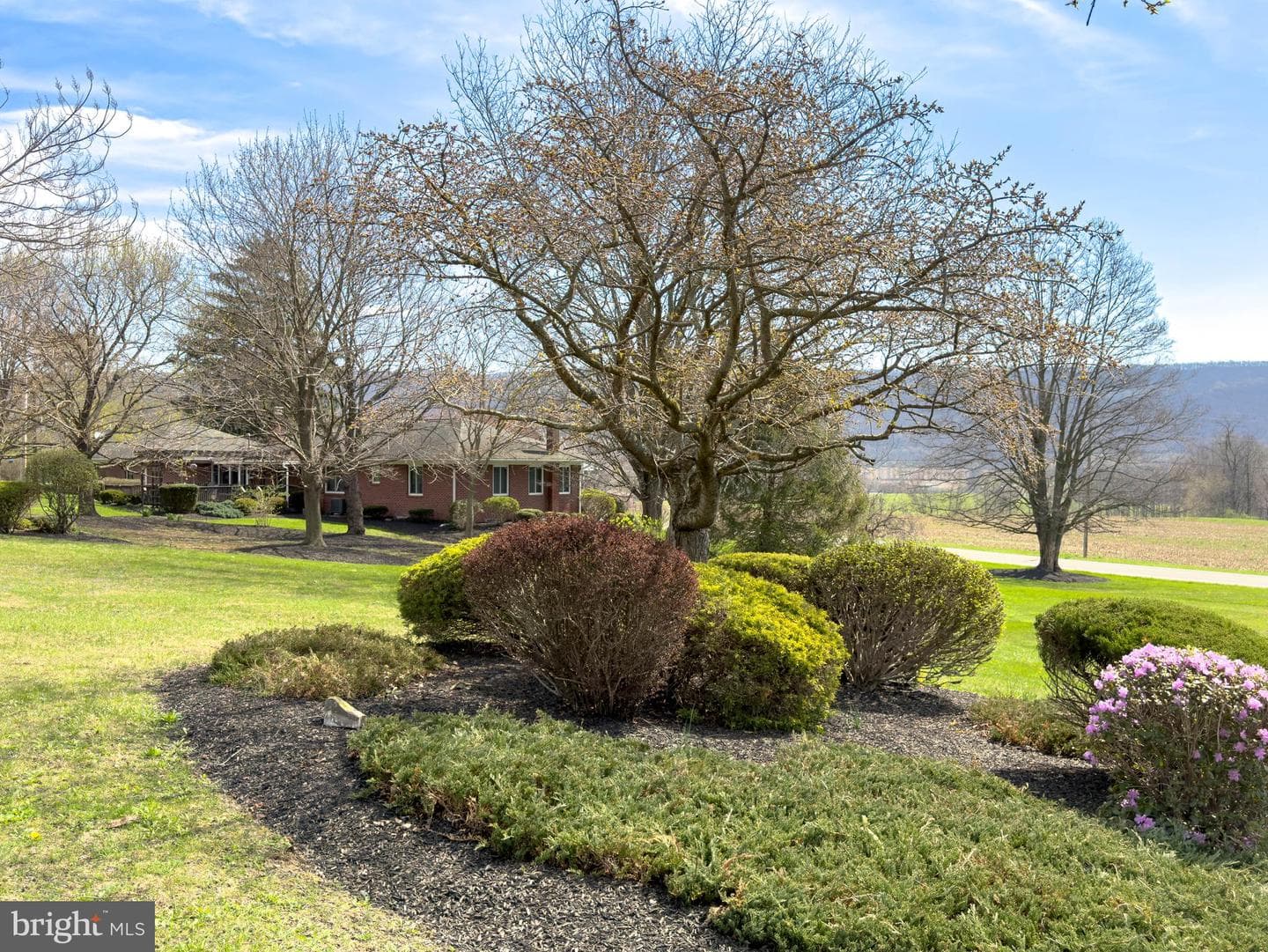 1771 Upper Snake Spring Rd photo 50