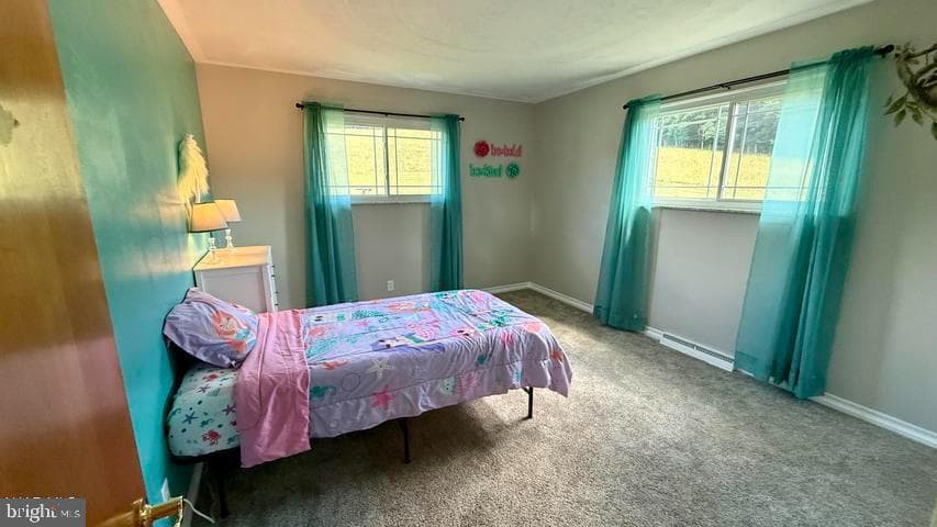 2348 Raystown Road photo 39