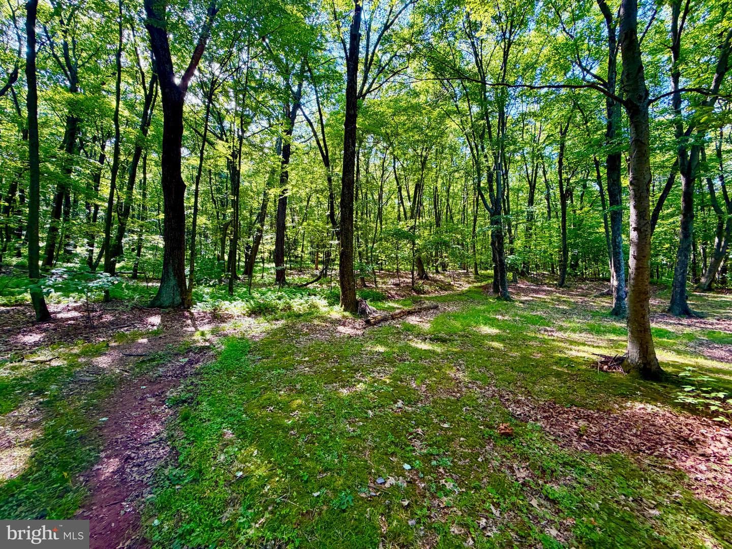 3243 Churchview Road photo 33