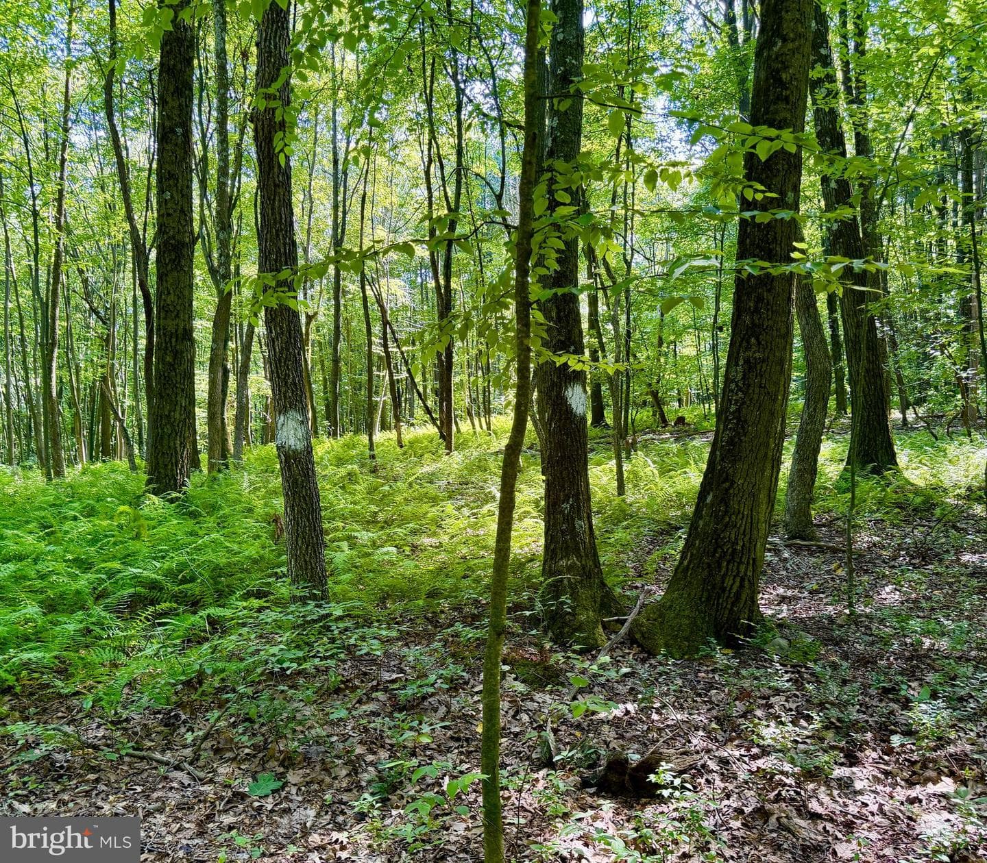 3243 Churchview Road photo 38