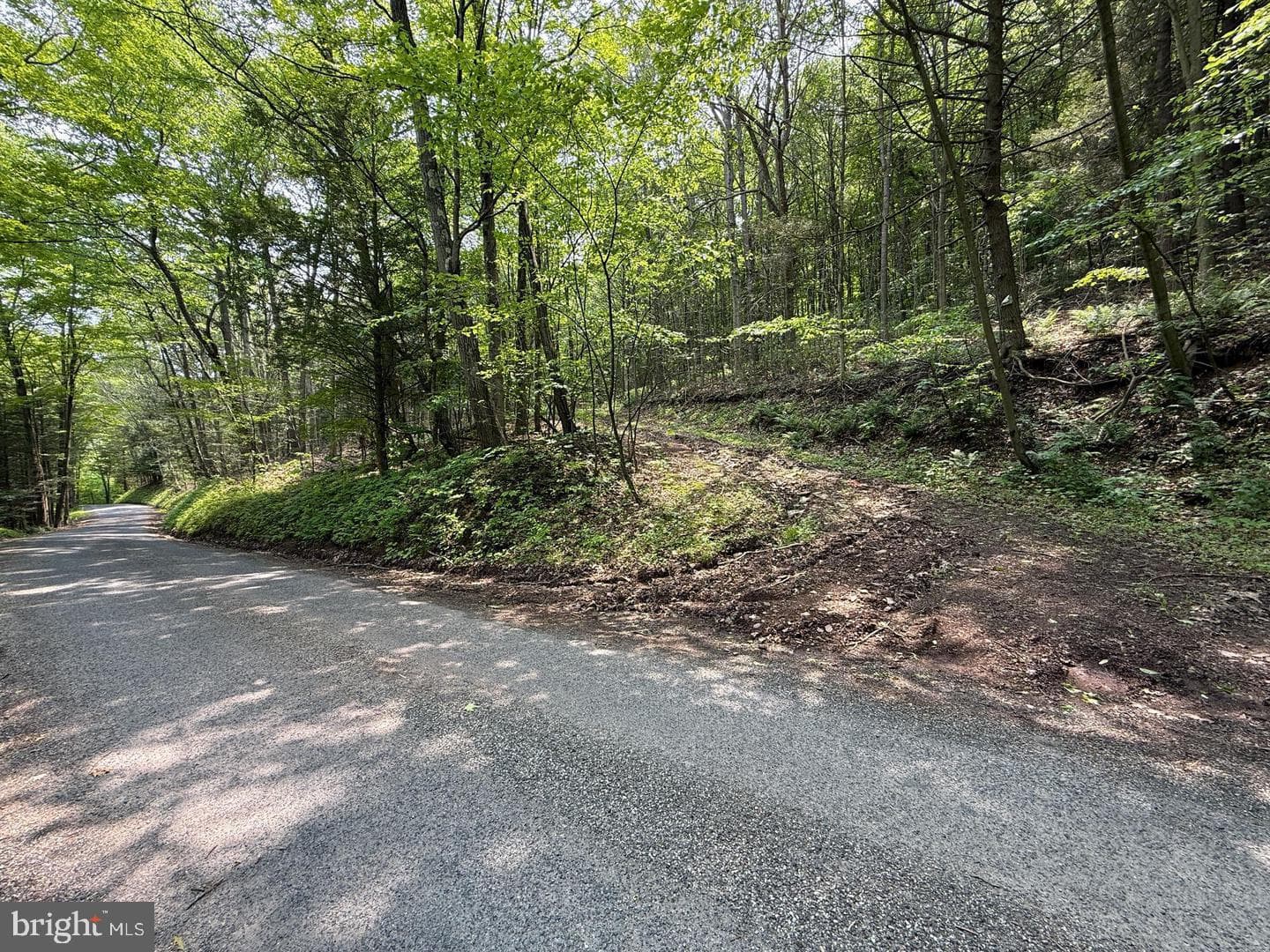 930 Osman Road photo 45