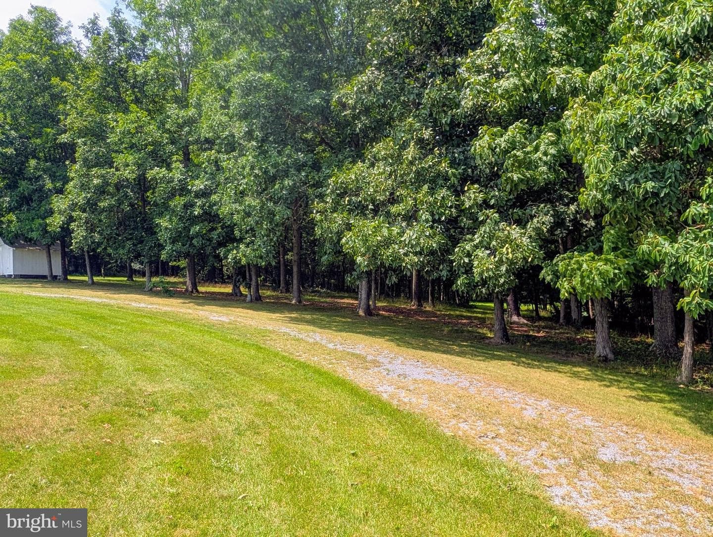 5587 Big Creek Road photo 43