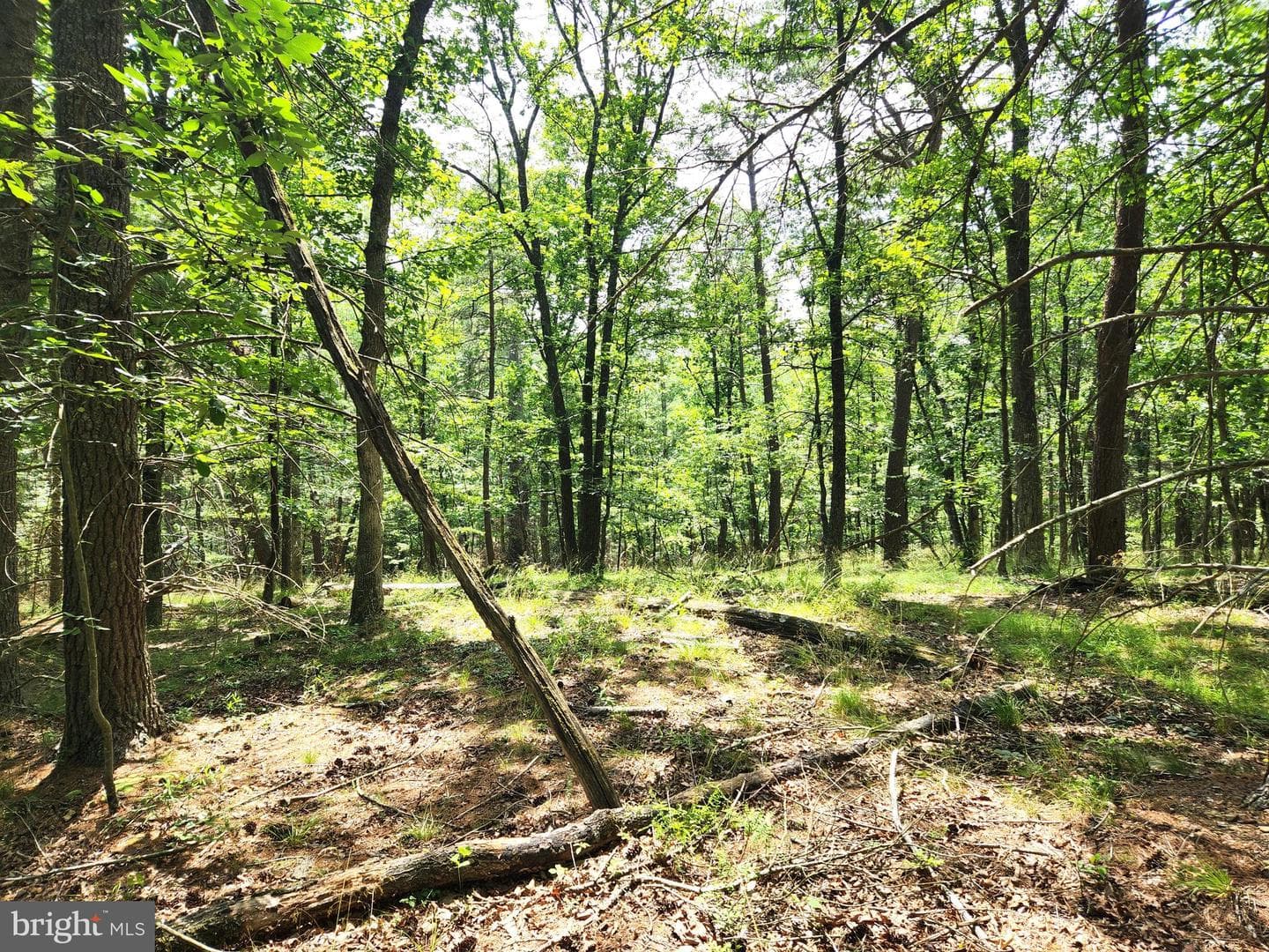 217 Lansing Road photo 19