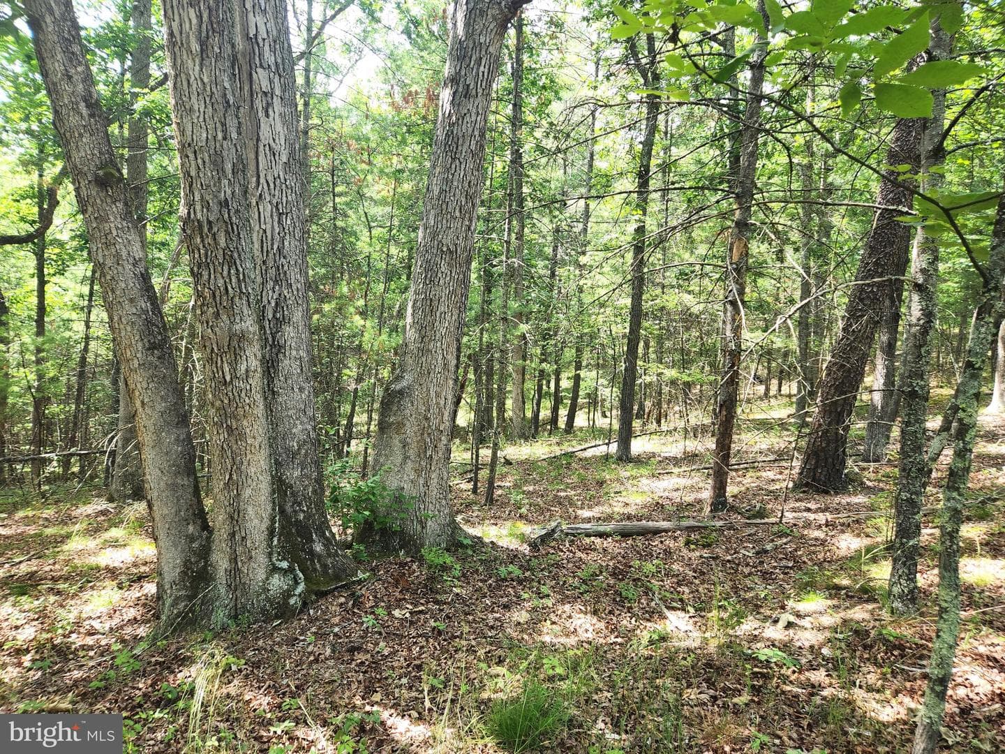 217 Lansing Road photo 30