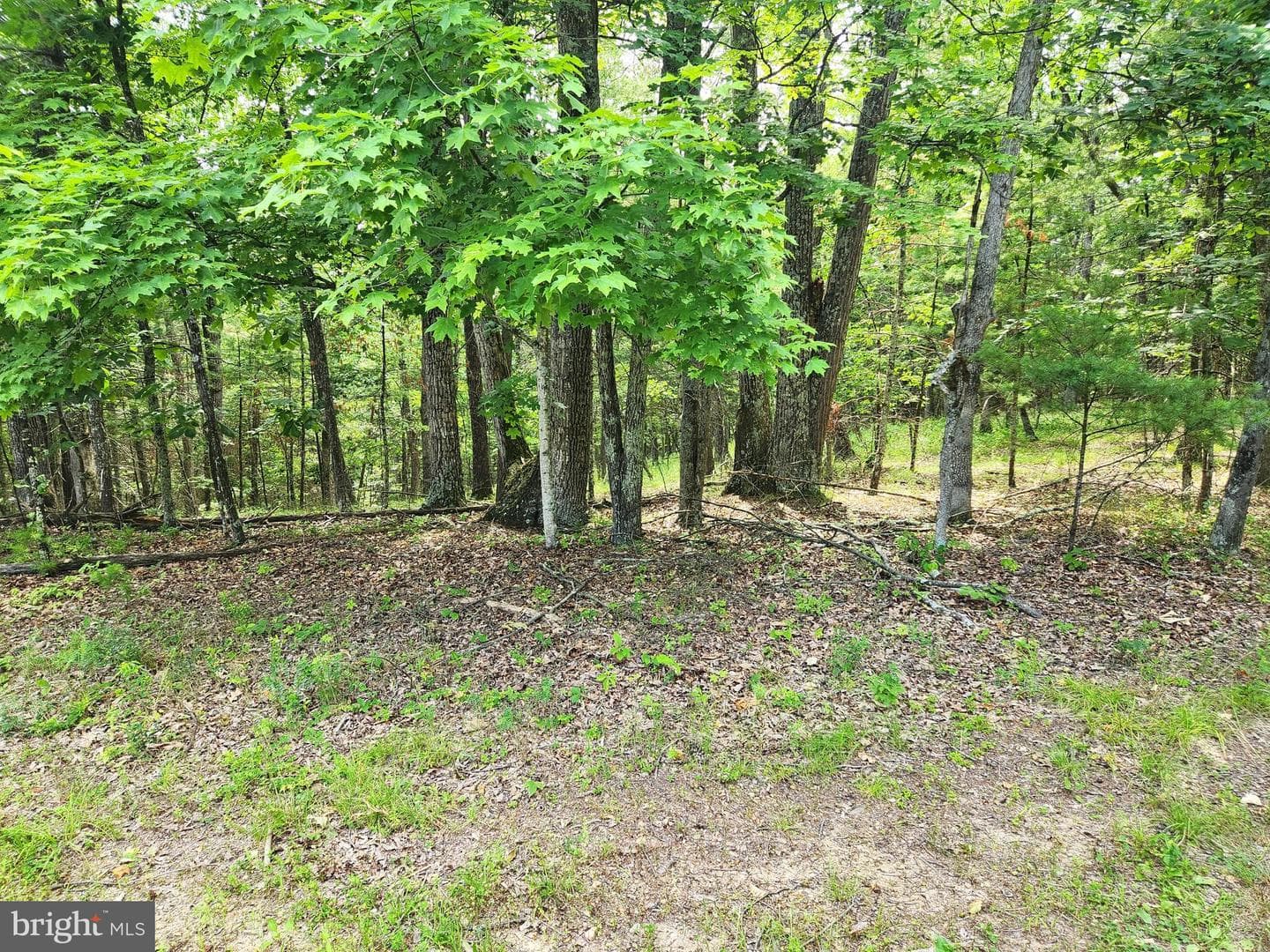 217 Lansing Road photo 43