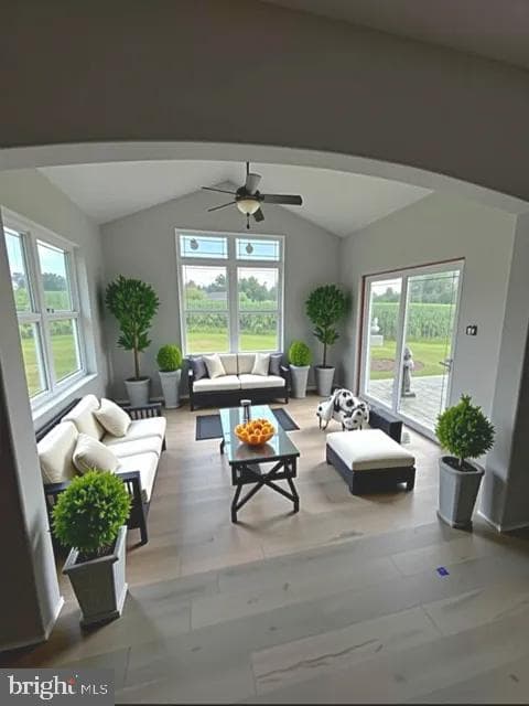 11 Fiorino Way #1 photo 22