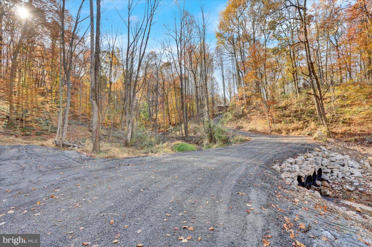 110 Poplar Road photo 22