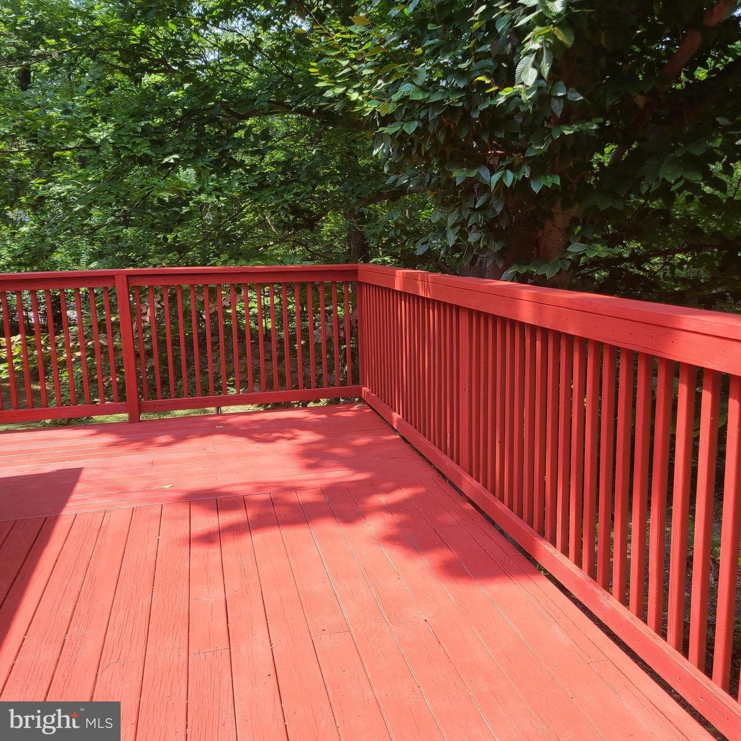 13 Whitetail Drive photo 68