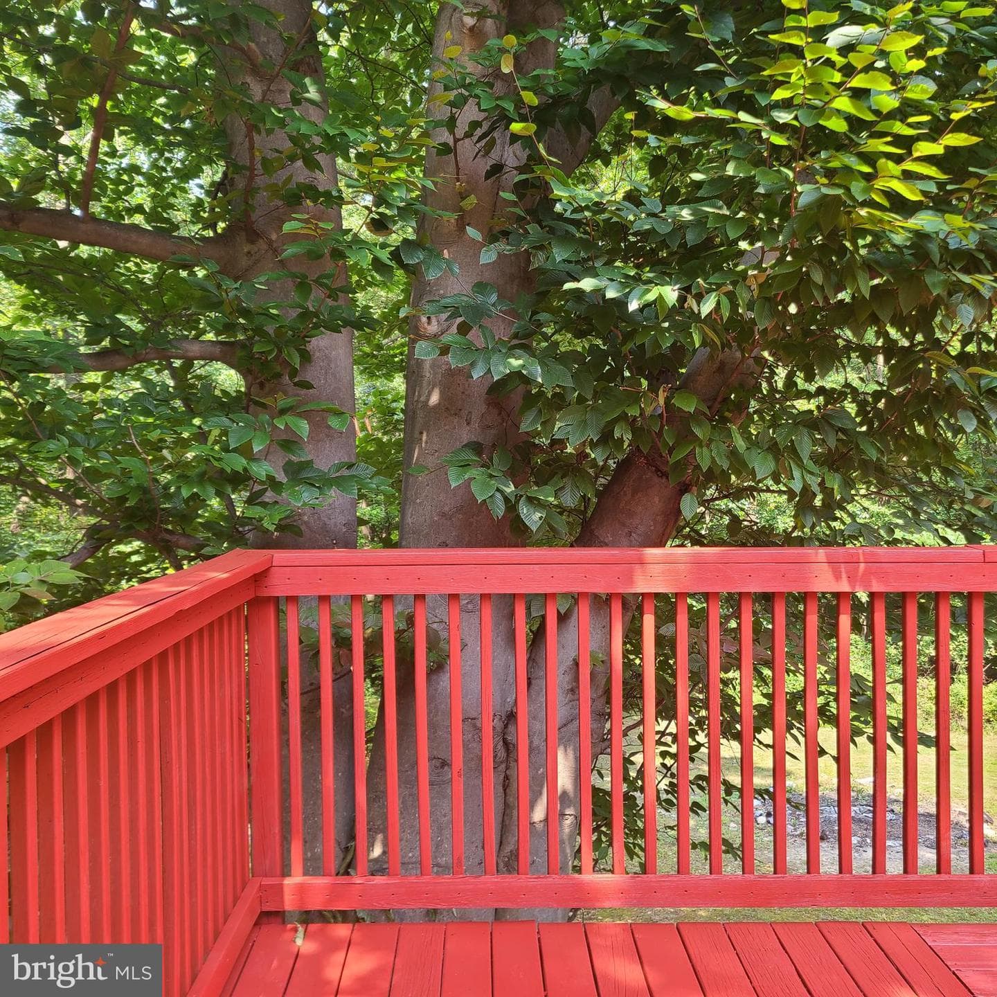 13 Whitetail Drive photo 71