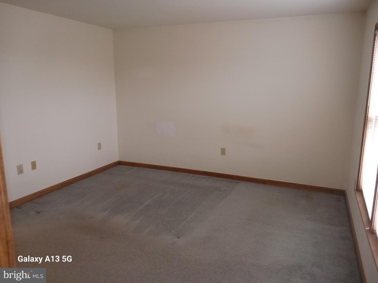 211 Poplar Drive photo 18