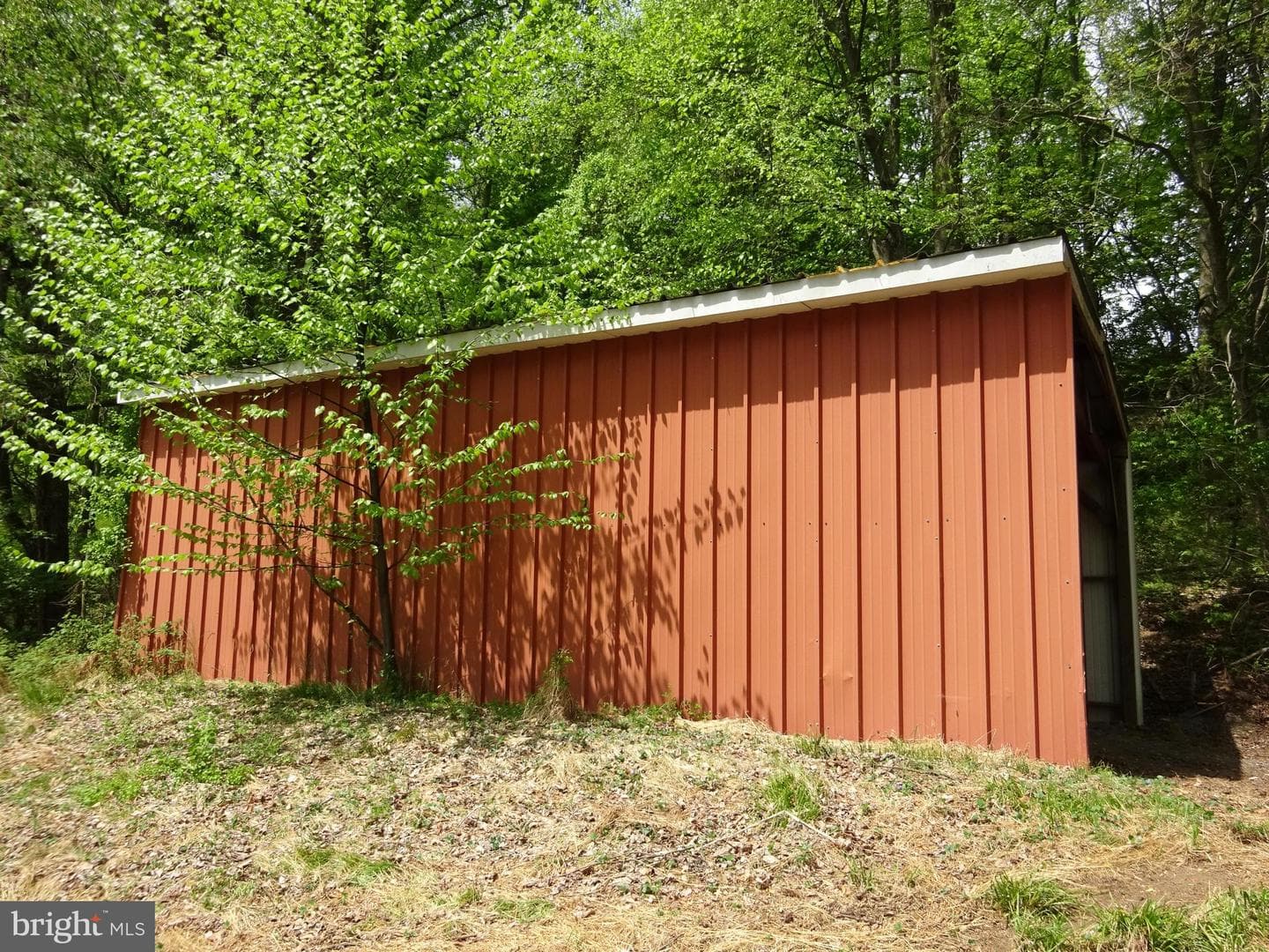 371 Wegman Road photo 104