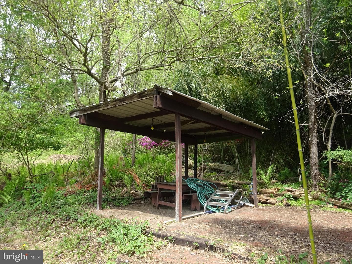 371 Wegman Road photo 108