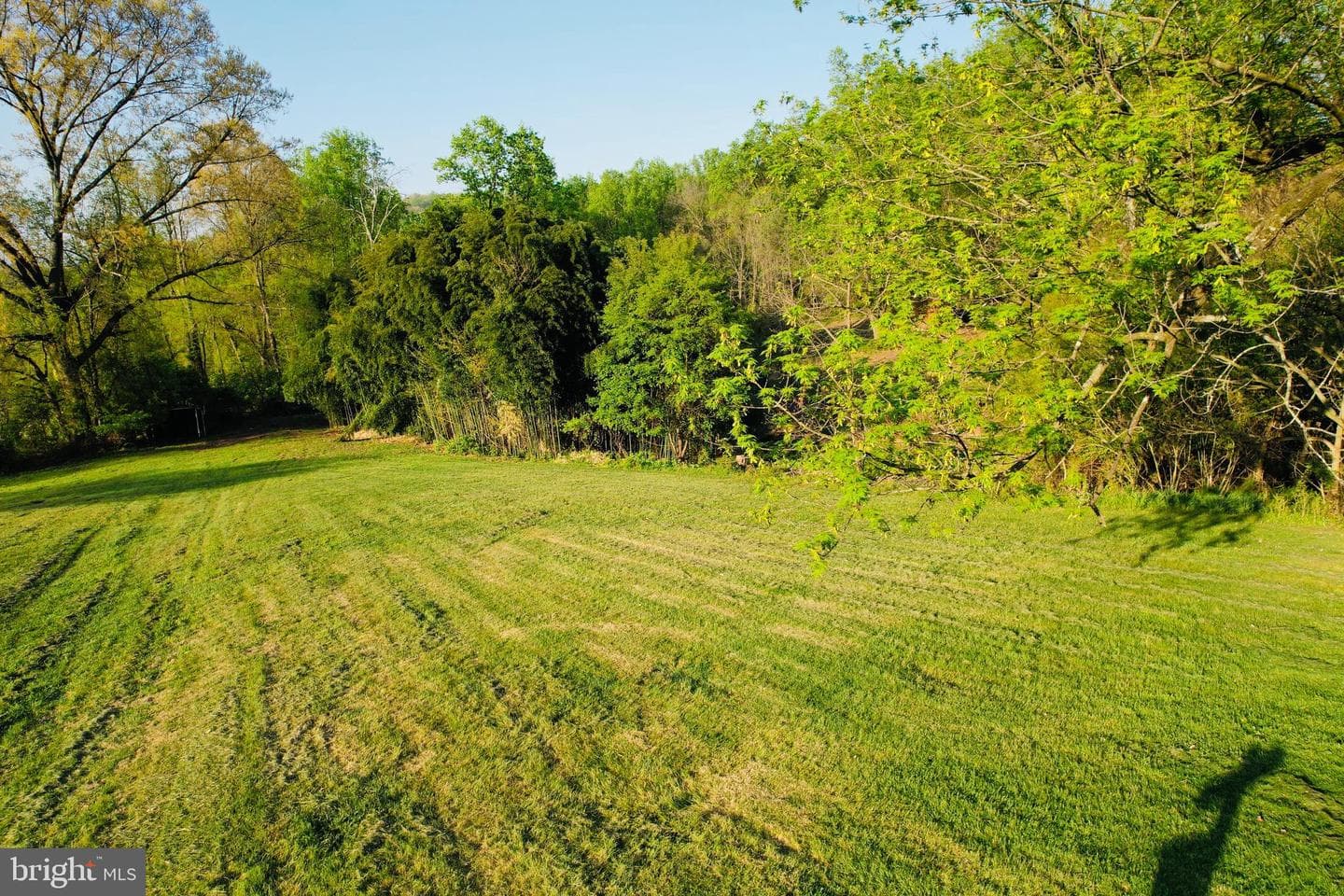 371 Wegman Road photo 64