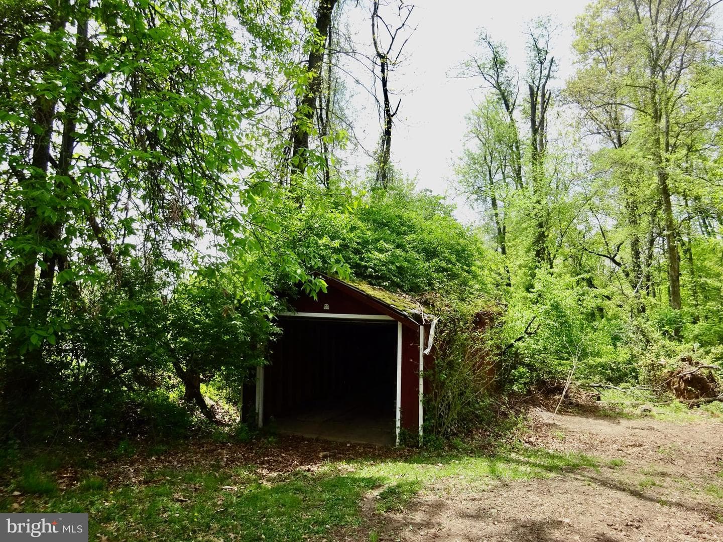 371 Wegman Road photo 88