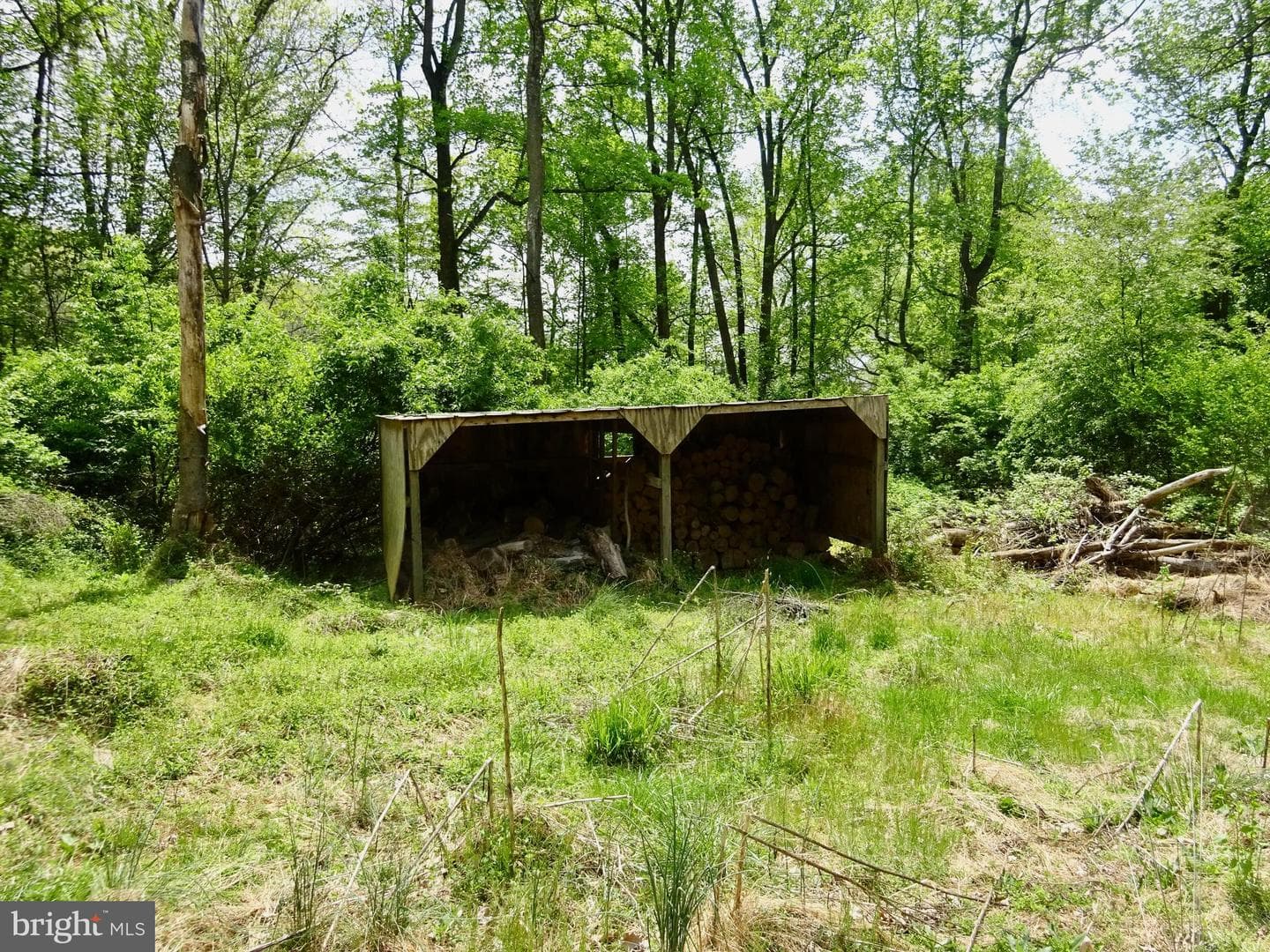 371 Wegman Road photo 92