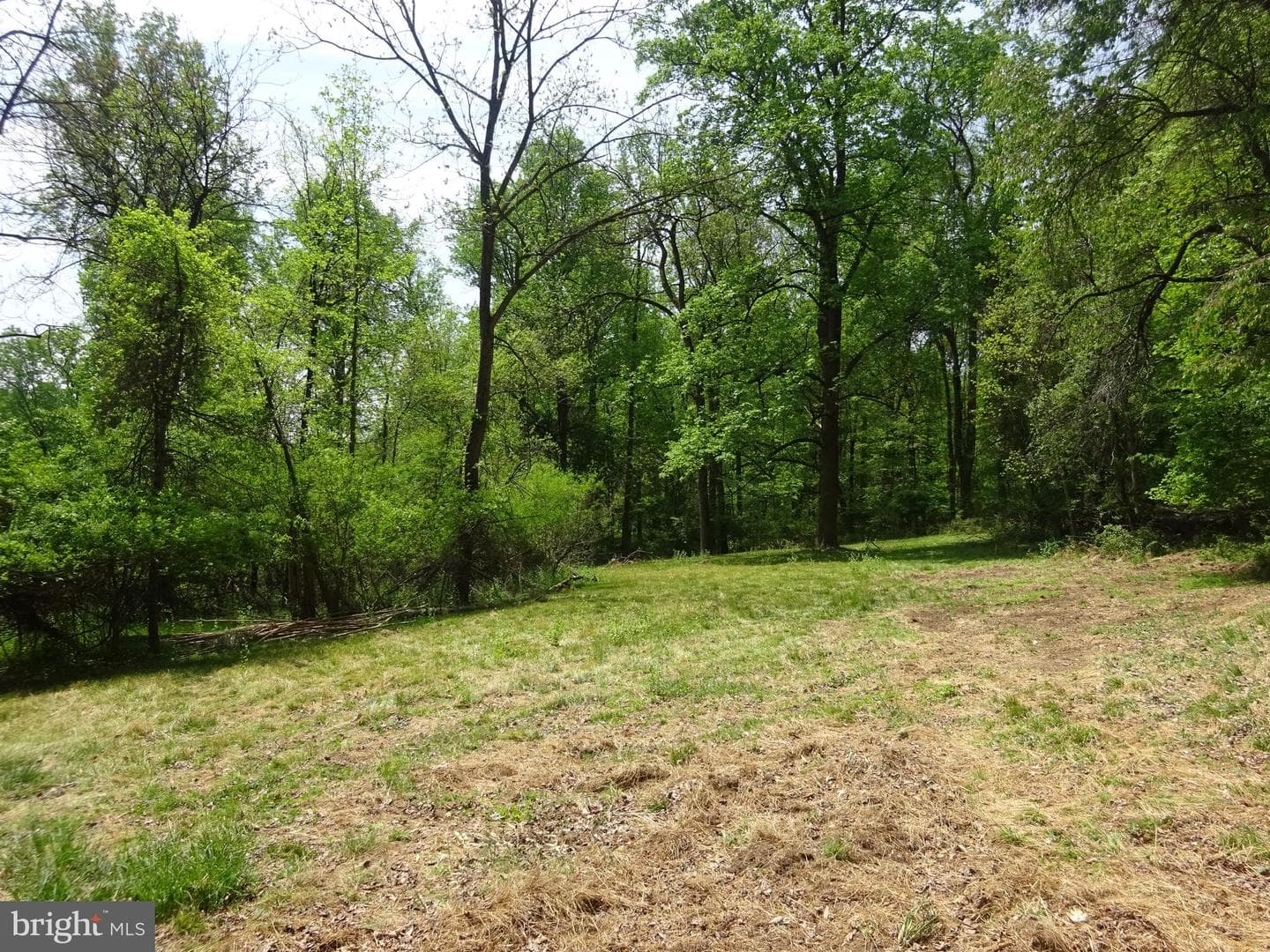 371 Wegman Road photo 93