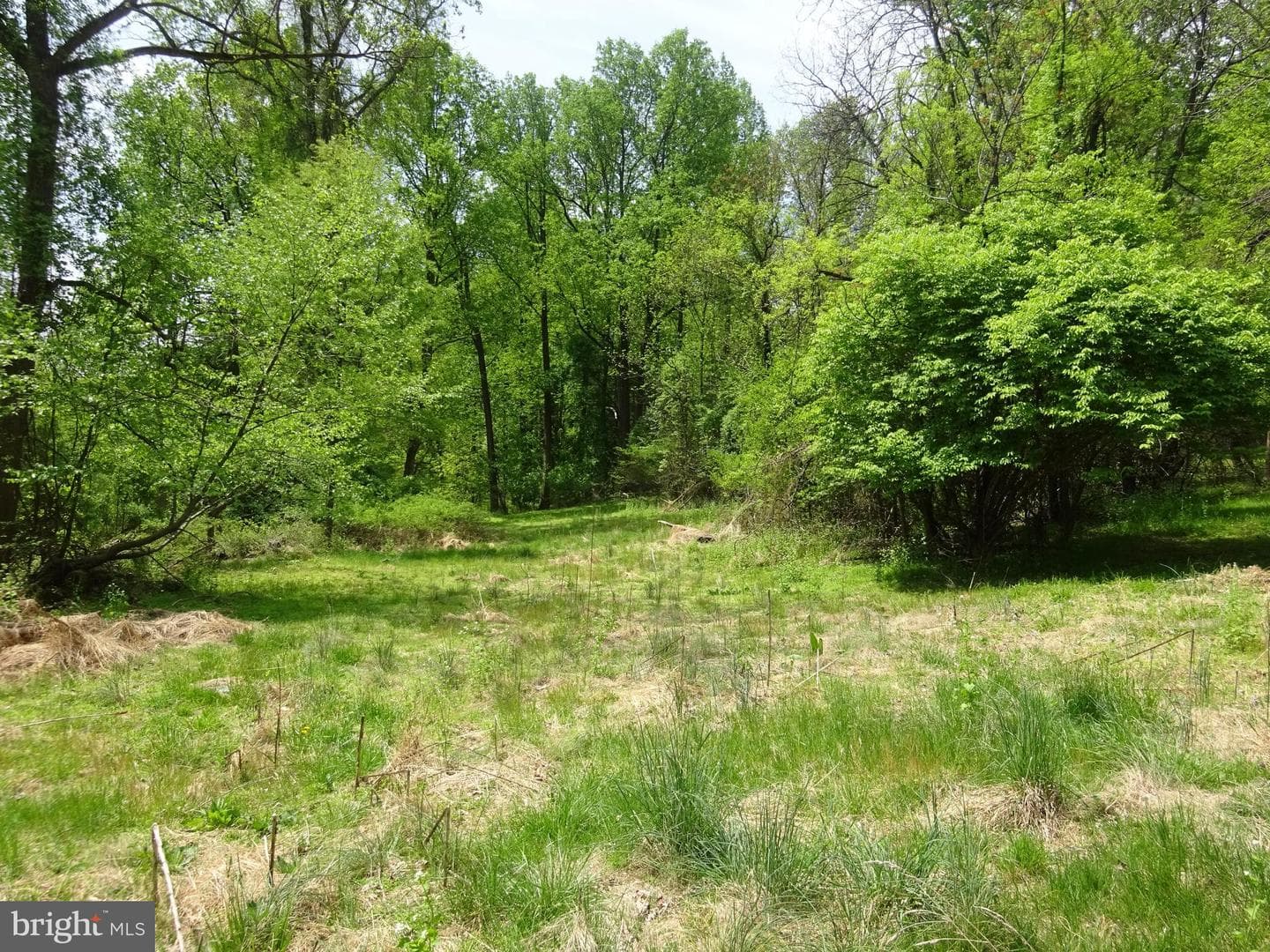 371 Wegman Road photo 94