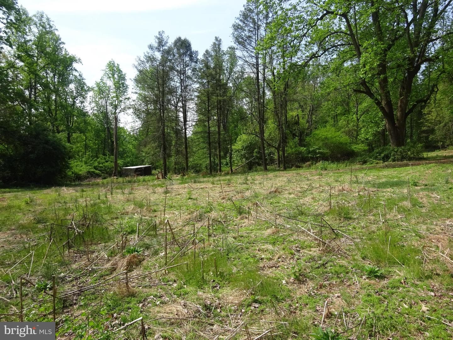 371 Wegman Road photo 99