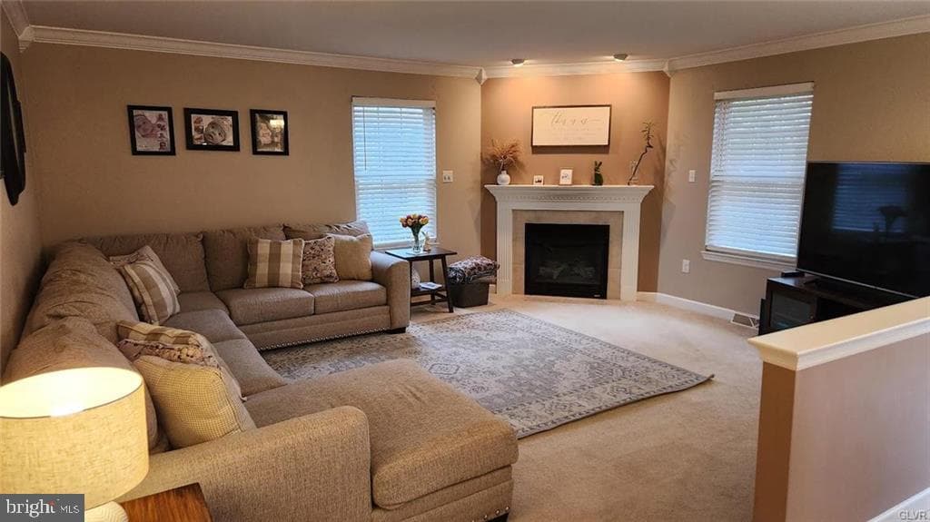 432 Riviera Drive photo 12