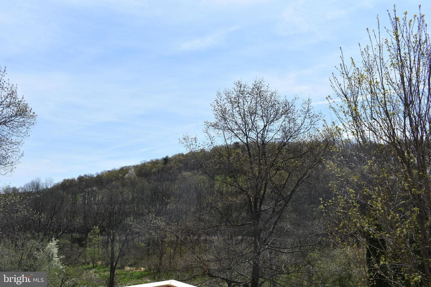 57 Skyview Drive photo 28