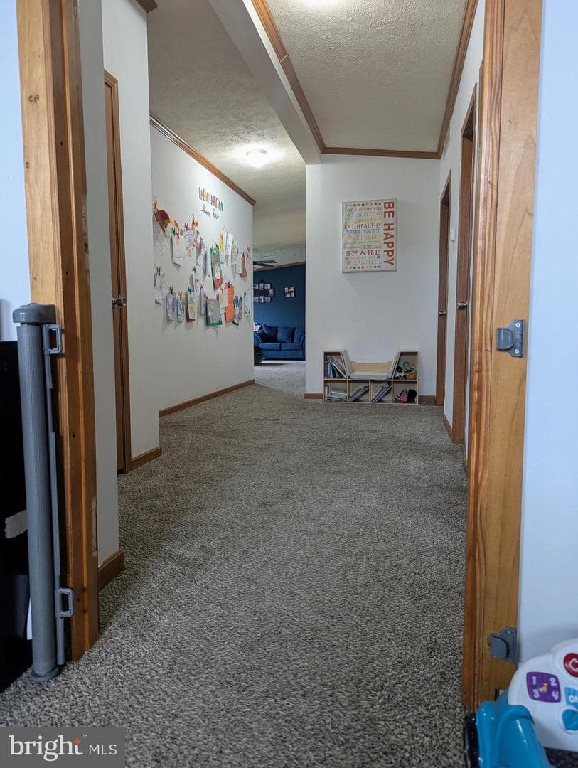 3 Hawthorne Lane photo 44
