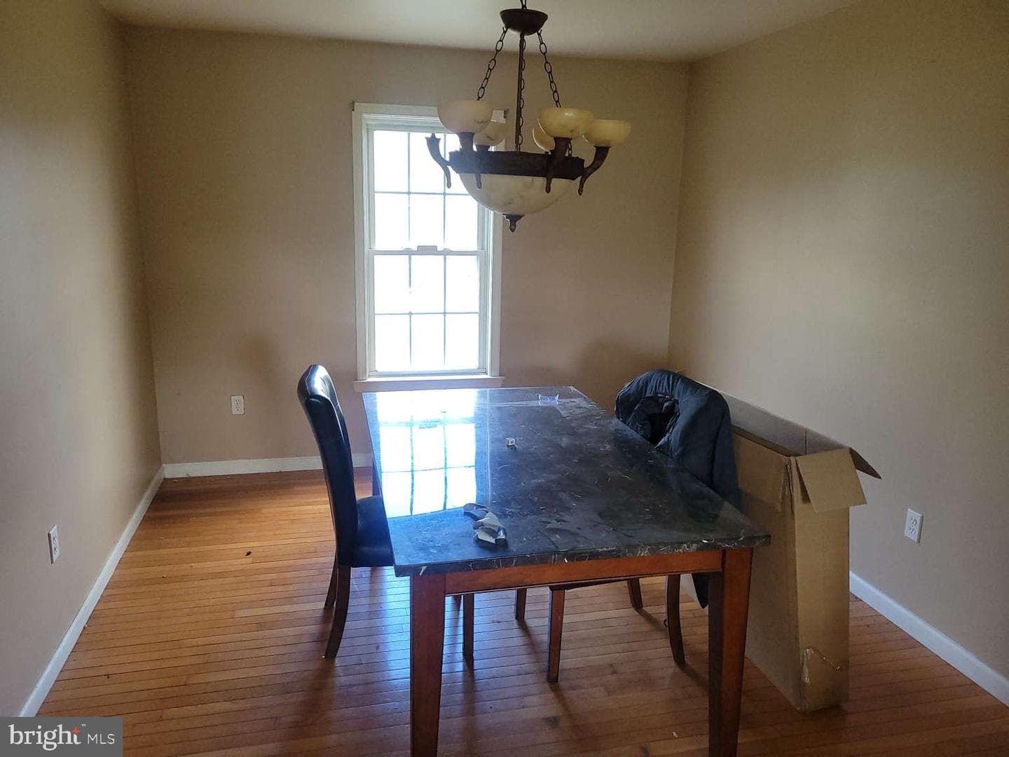 201 Steven Drive photo 10
