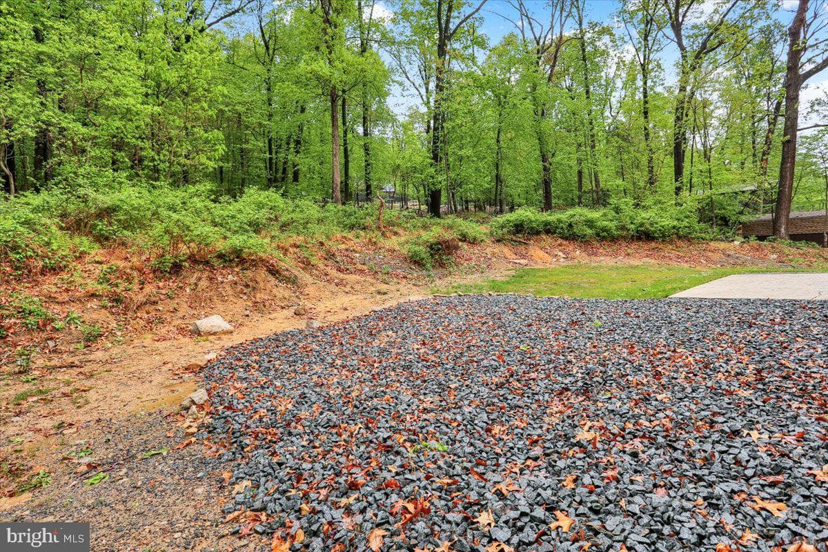 250 Skyline Drive photo 8