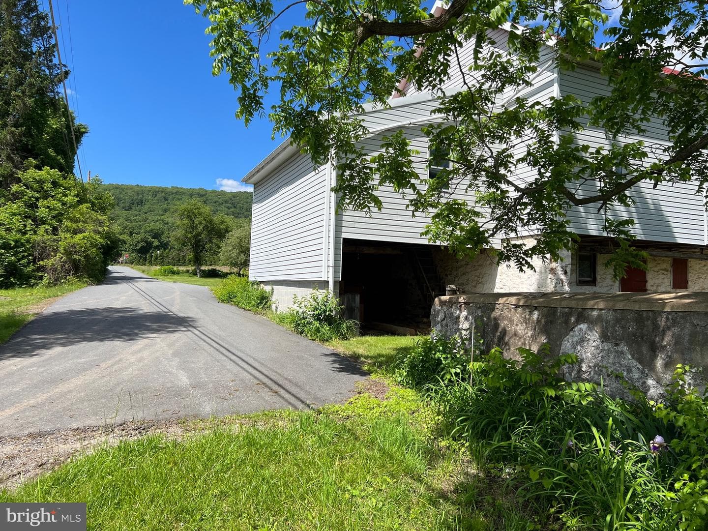317 Machamer Road photo 14