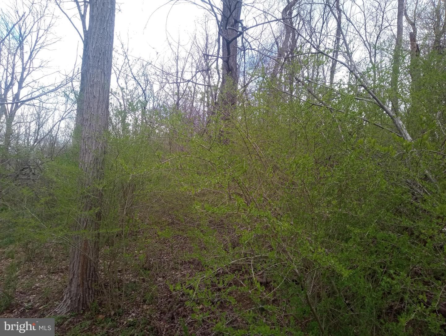 875 Krumsville Road photo 2