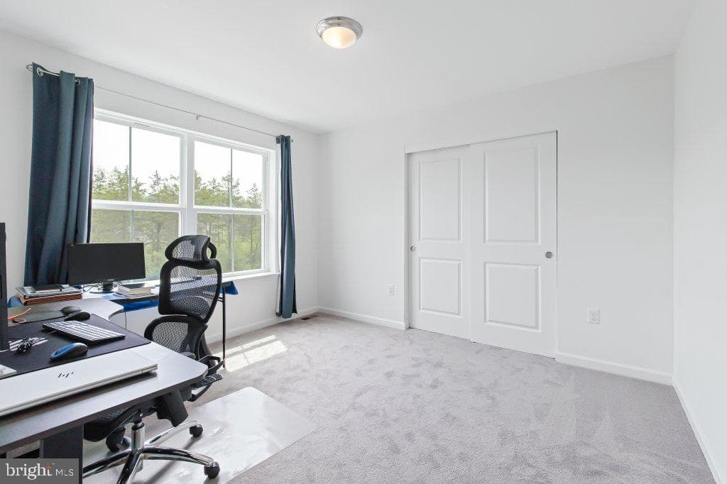 17 Ladderback Lane photo 29
