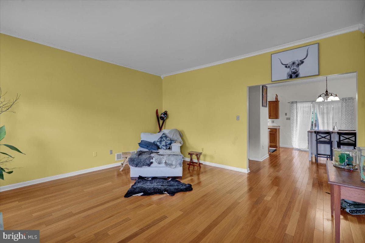 17 Charlemont Court photo 5