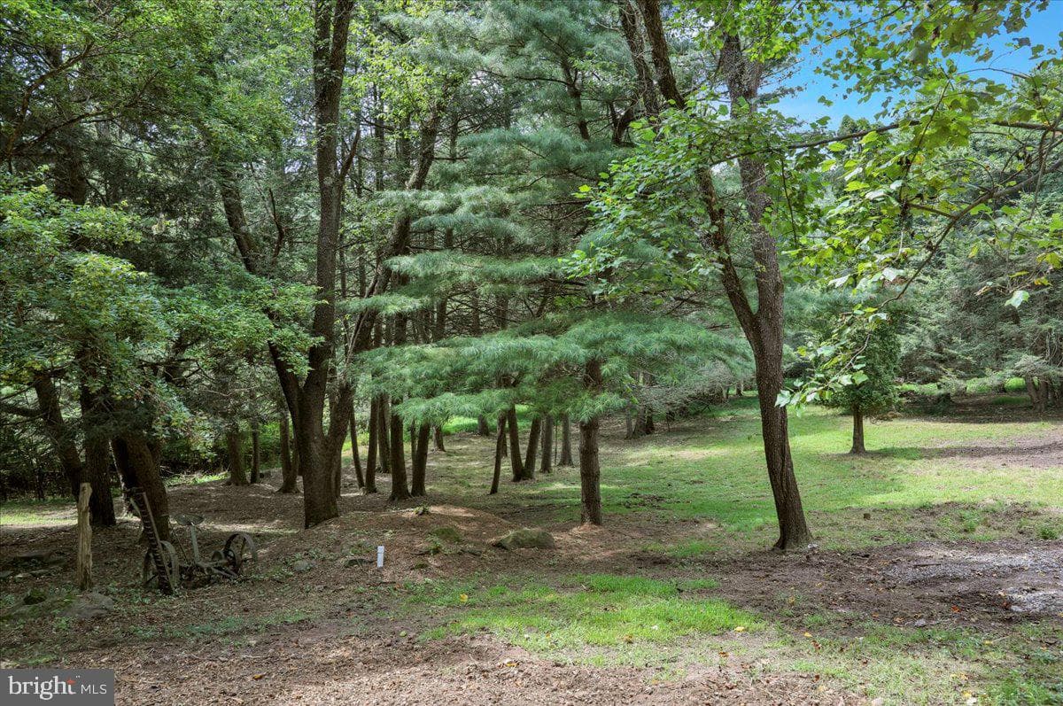843 Ridgeway Road photo 28