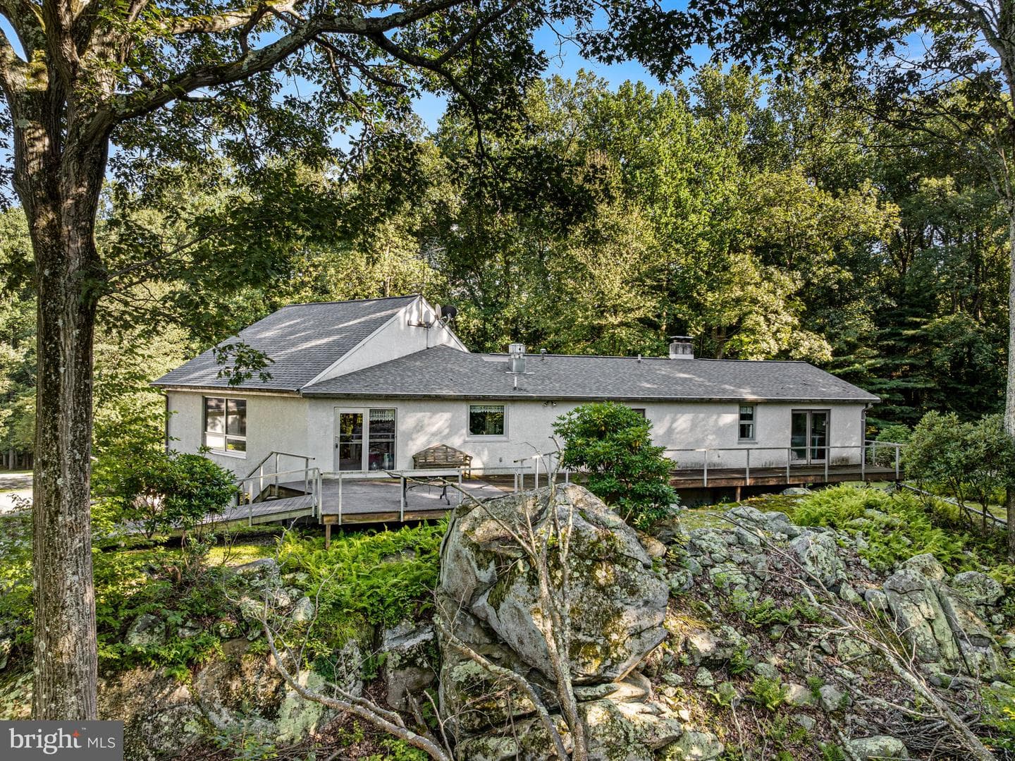 38 Lutz Road photo 36