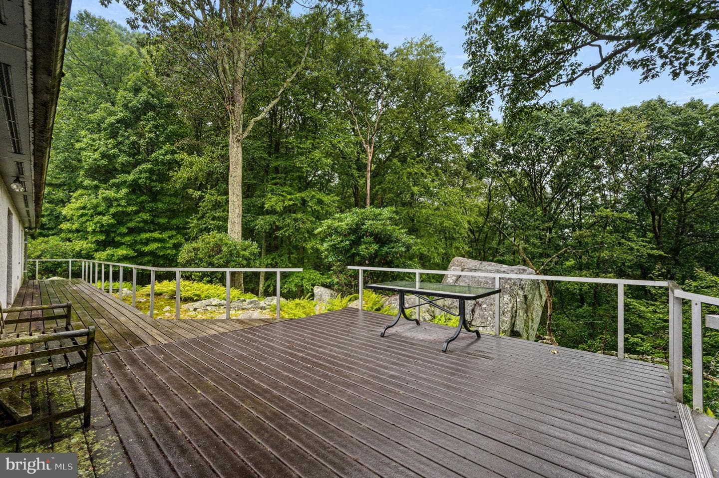 38 Lutz Road photo 37