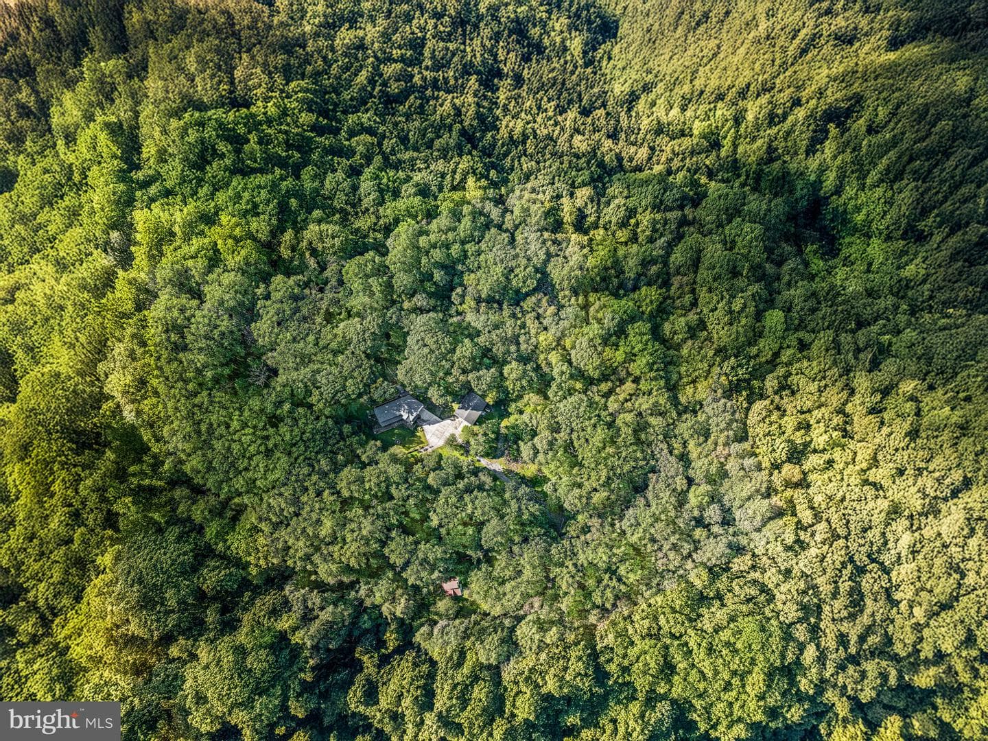 38 Lutz Road photo 49