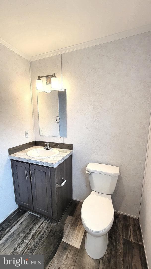26 Joseph Avenue photo 12