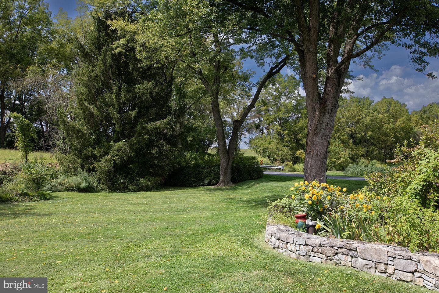 385 Albright Road photo 12