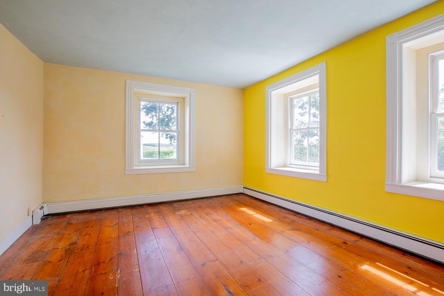 385 Albright Road photo 29