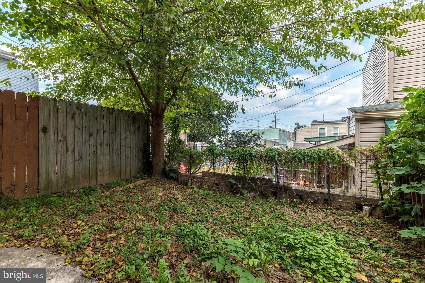 207 Spruce Street photo 4
