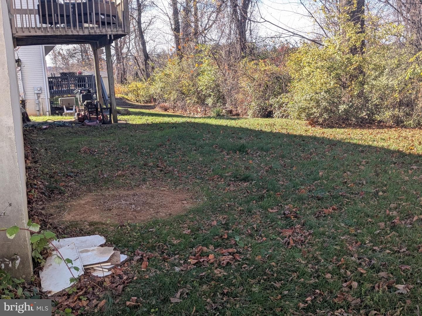 1125 Ashbourne Dr photo 4