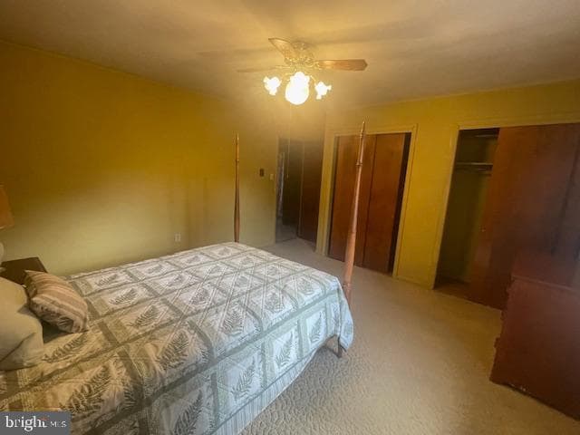 91 Dogwood Lane photo 19
