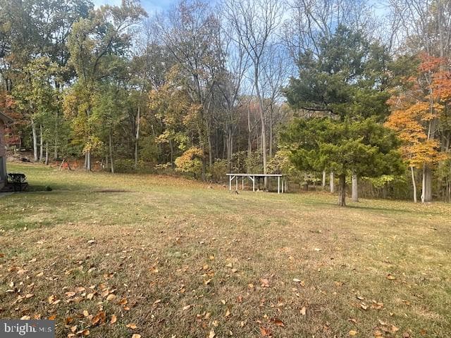 91 Dogwood Lane photo 42
